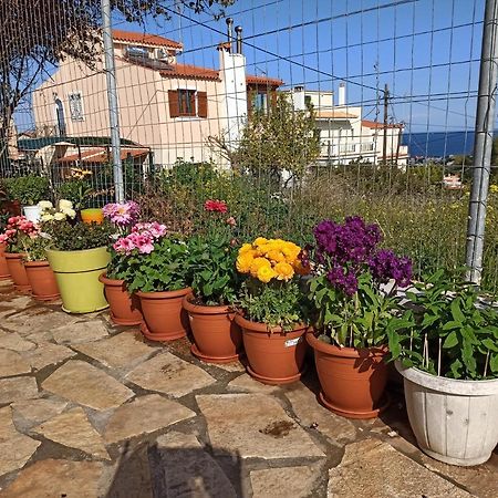 Airport Family House Apartman Ártemida Kültér fotó