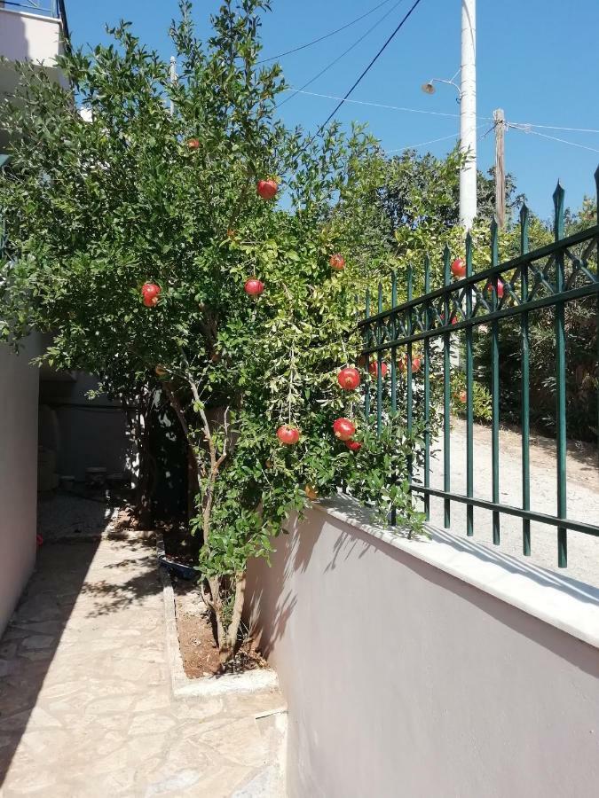 Airport Family House Apartman Ártemida Kültér fotó